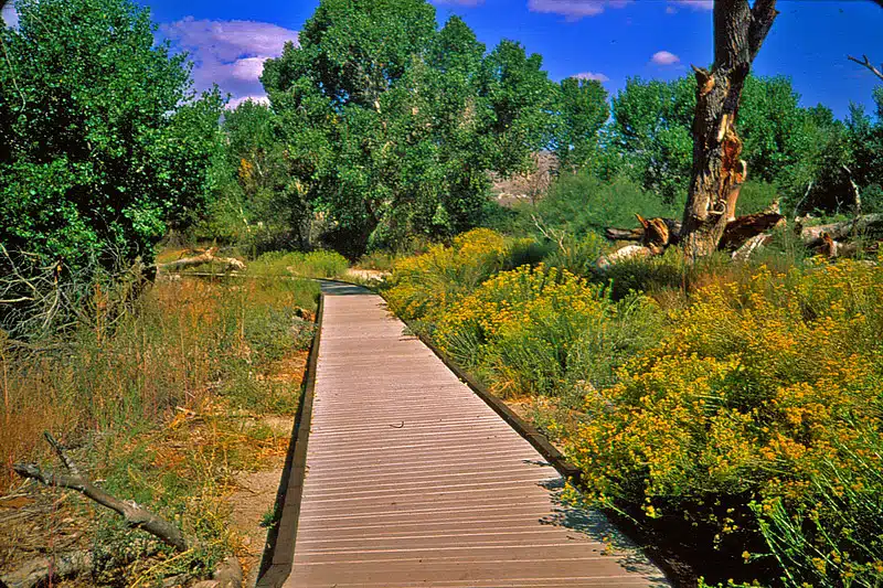 2a35f3ce4e43ade5aadd3e43fb465a88 2a35f3ce4e43ade5aadd3e43fb465a88