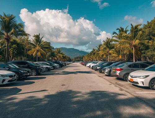 Why Choose Papa Car Rental in Seychelles?