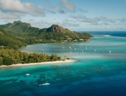 Seychelles: An Intimate Journey Through Nature, Culture, and Timeless Beauty